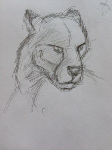 2016-04-07 15.51.35-1